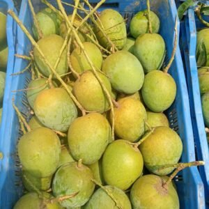 প্রিমিয়াম হিমসাগর আম - ২০ কেজি